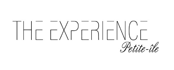 THE EXPERIENCE